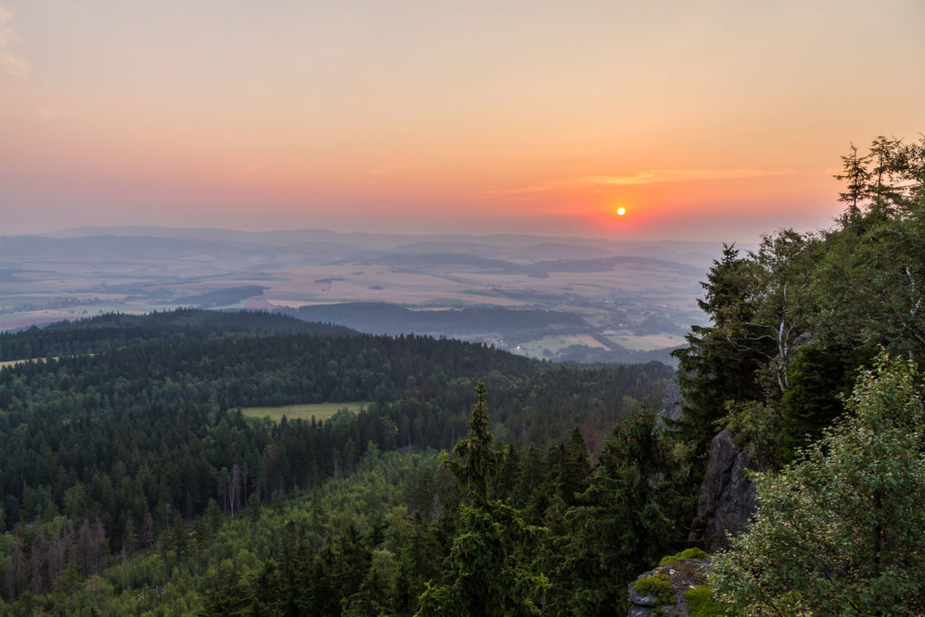 Reduzierung von CO2-Emissionen